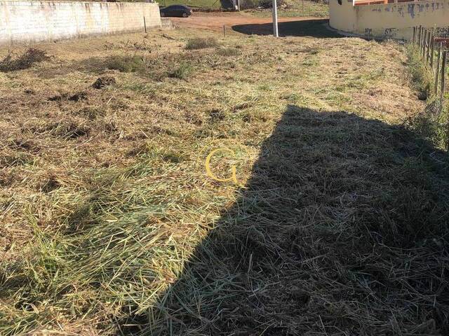 Área para Venda em Jarinu - 5