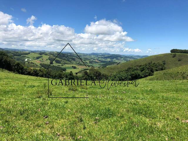 #49 - Terreno para Venda em Bueno Brandão - MG - 1