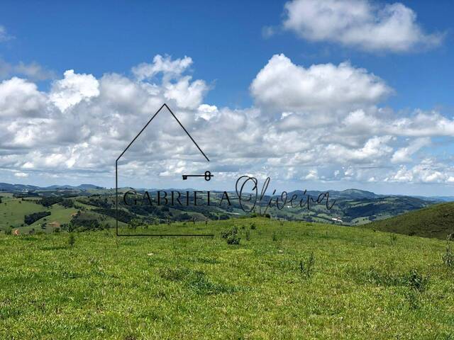 #49 - Terreno para Venda em Bueno Brandão - MG - 3