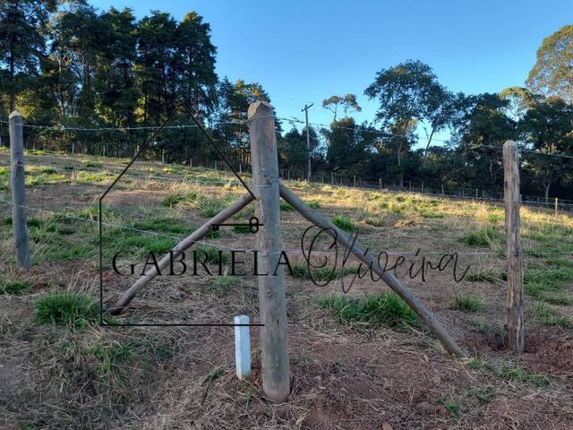 #96 - Área para Venda em Jarinu - SP - 2